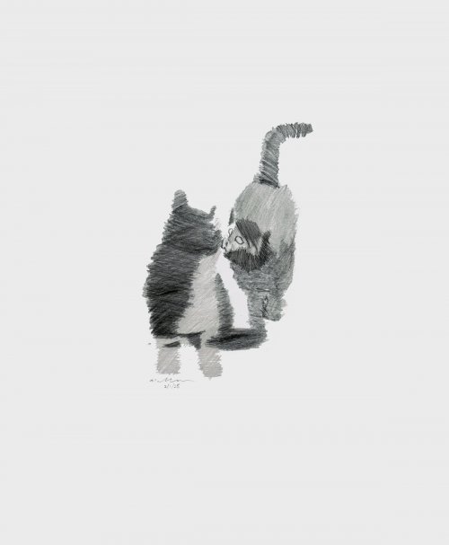 Gatos 2